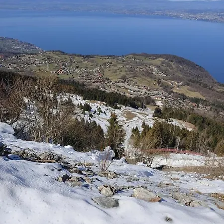 Διαμέρισμα Le Telemark Wifi Fibre Et Garage *