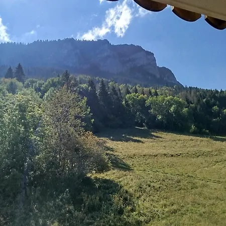 Le Telemark Wifi Fibre Classe 3 Etoiles Garage Thollon-les-Memises
