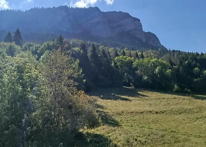 Le Telemark Wifi Fibre Classe 3 Etoiles Garage Thollon-les-Memises